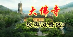 我想操女人的黑逼逼中国浙江-新昌大佛寺旅游风景区